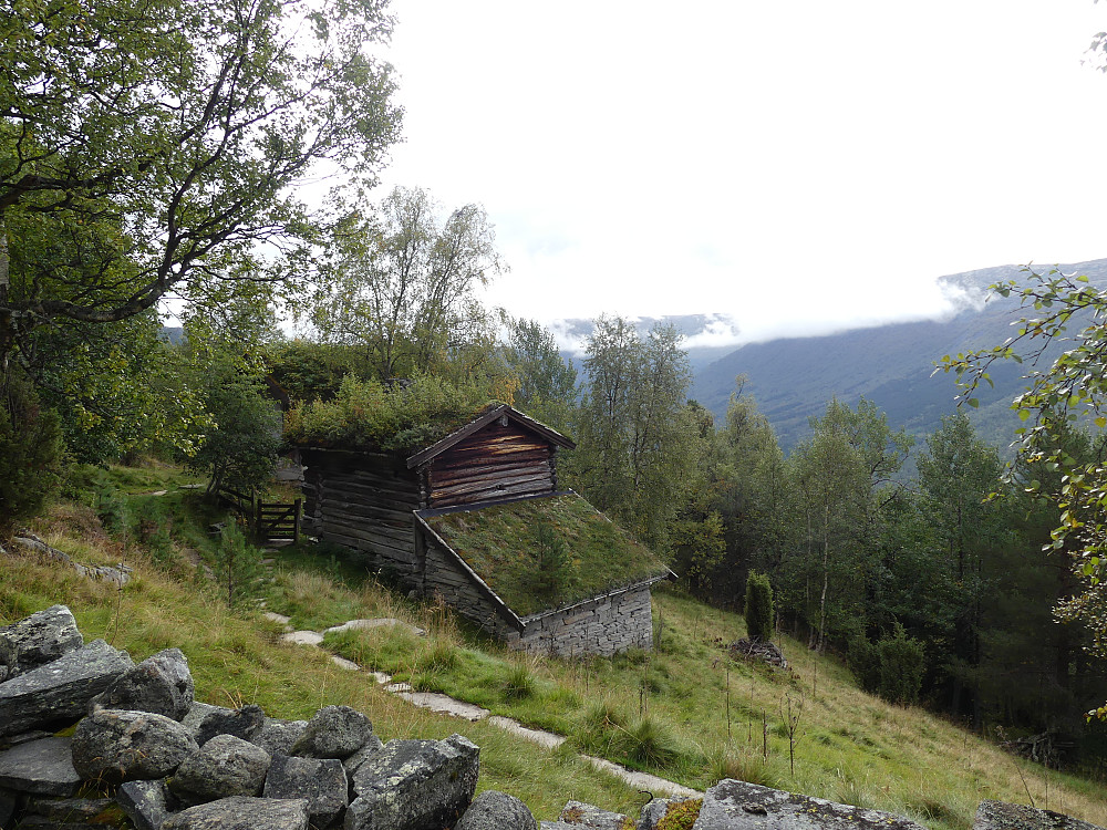 Dettlisætra.