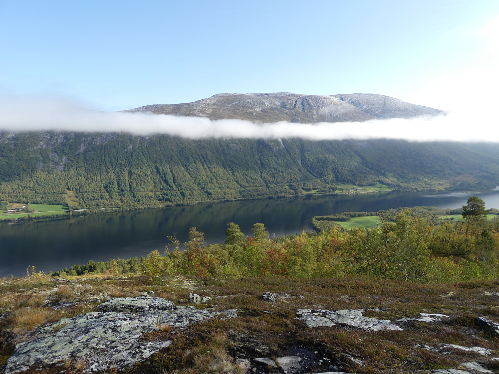 Siste rest av tåke forsvinner idet jeg er ferdig med skogen opp fra Sandøysætra.