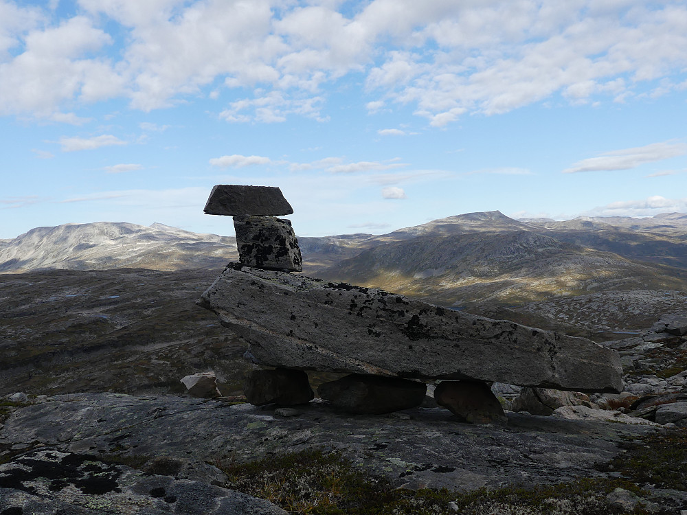 Jeg visste ikke at det fantes steinbukk i norsk natur.