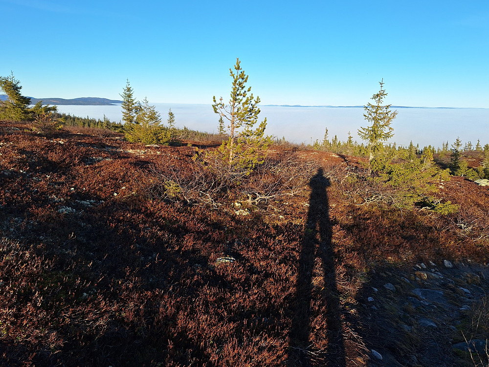 Mye av Stor-Elvdal er skjult i tåka. 