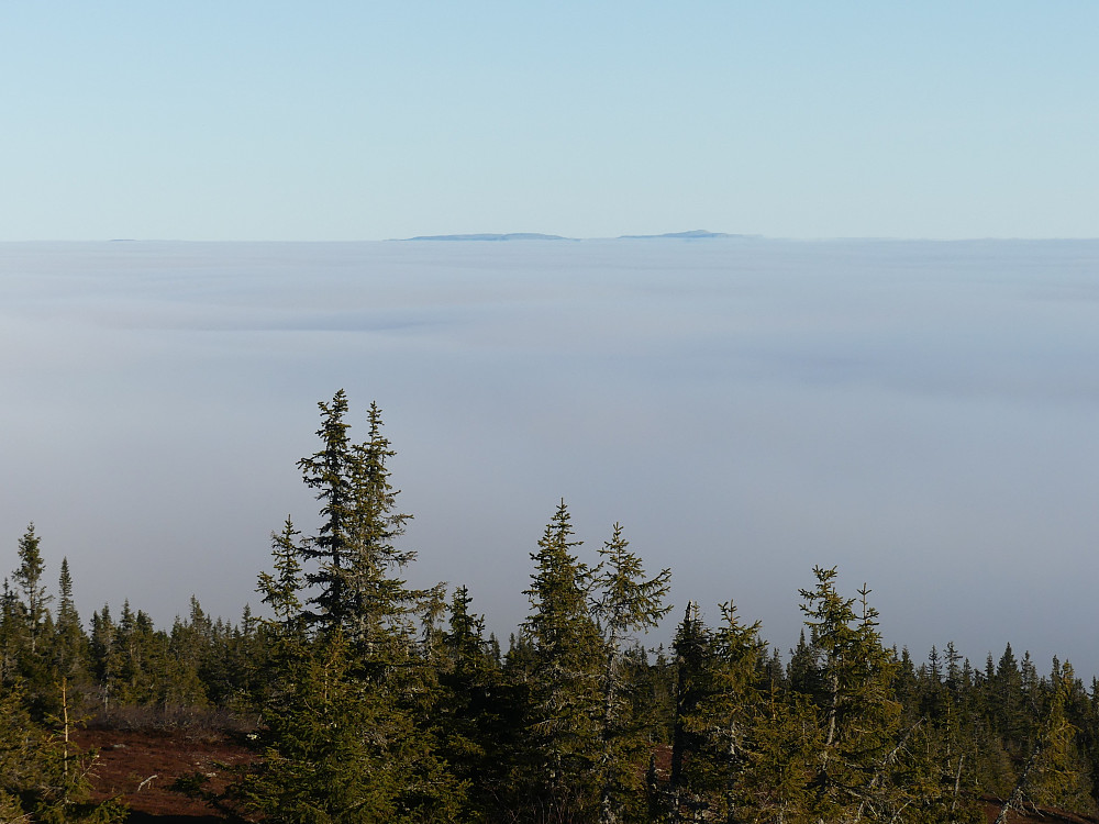 Trysilfjellet.