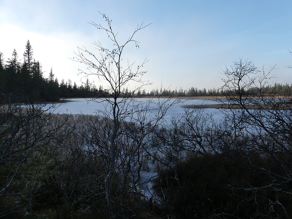 Ved Pålstjernet.