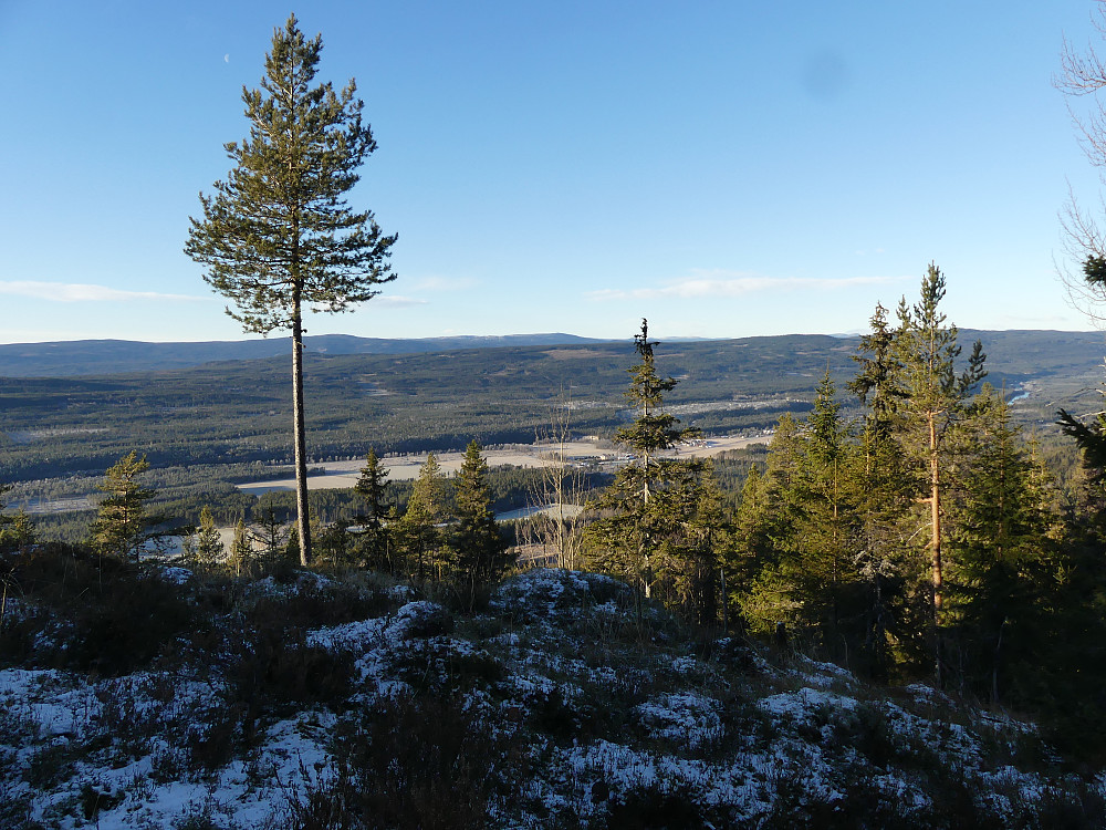 Ei glenne i gammelskogen gir fri utsikt til Storhorta i Stor-Elvdal.