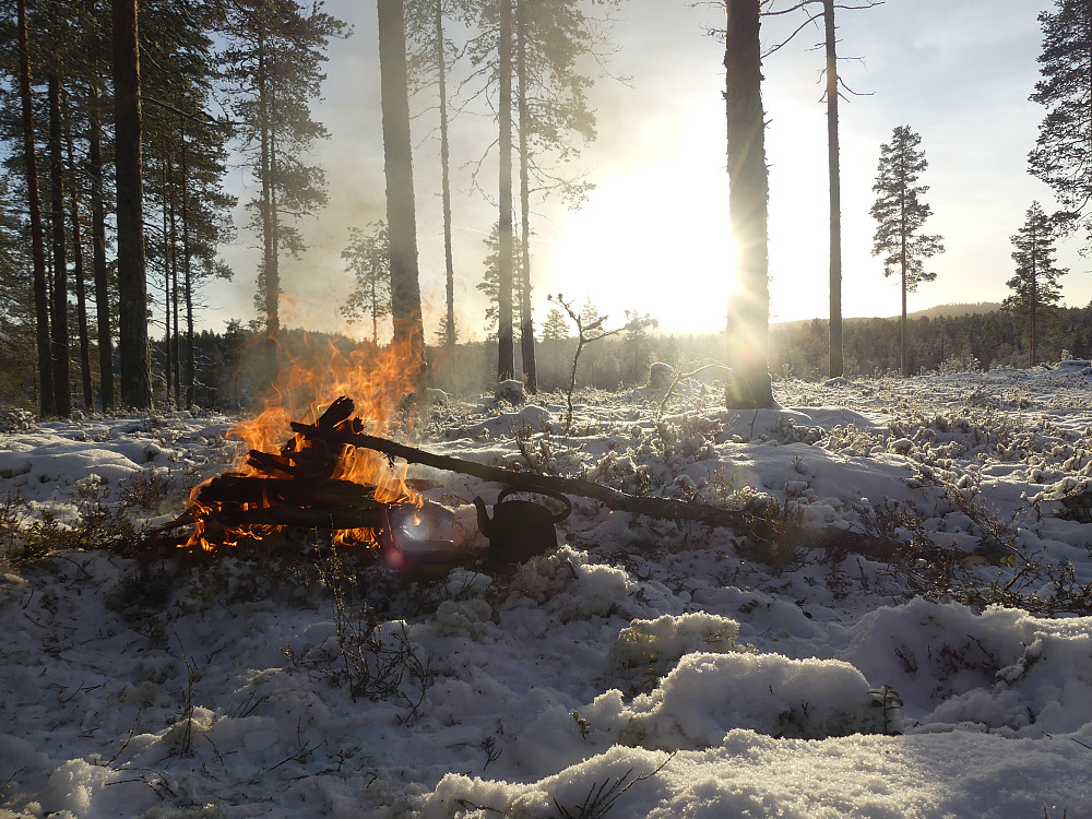 På toppen av Vest for Mostjennet, 
303 moh.