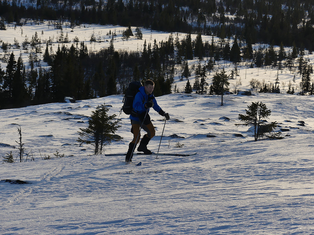 Snaufjellet er endelig nådd!