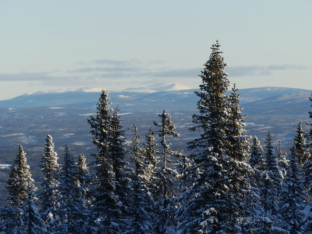 Rendalssølen kan så vidt skimtes i det fjerne.