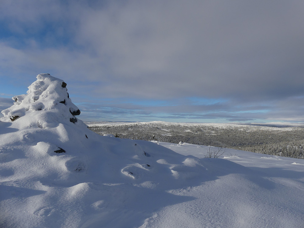 Fra Engulvsfjellet med utsikt nordover Hedmarksvidda. Hemmelfjellet til høyre for varden. 