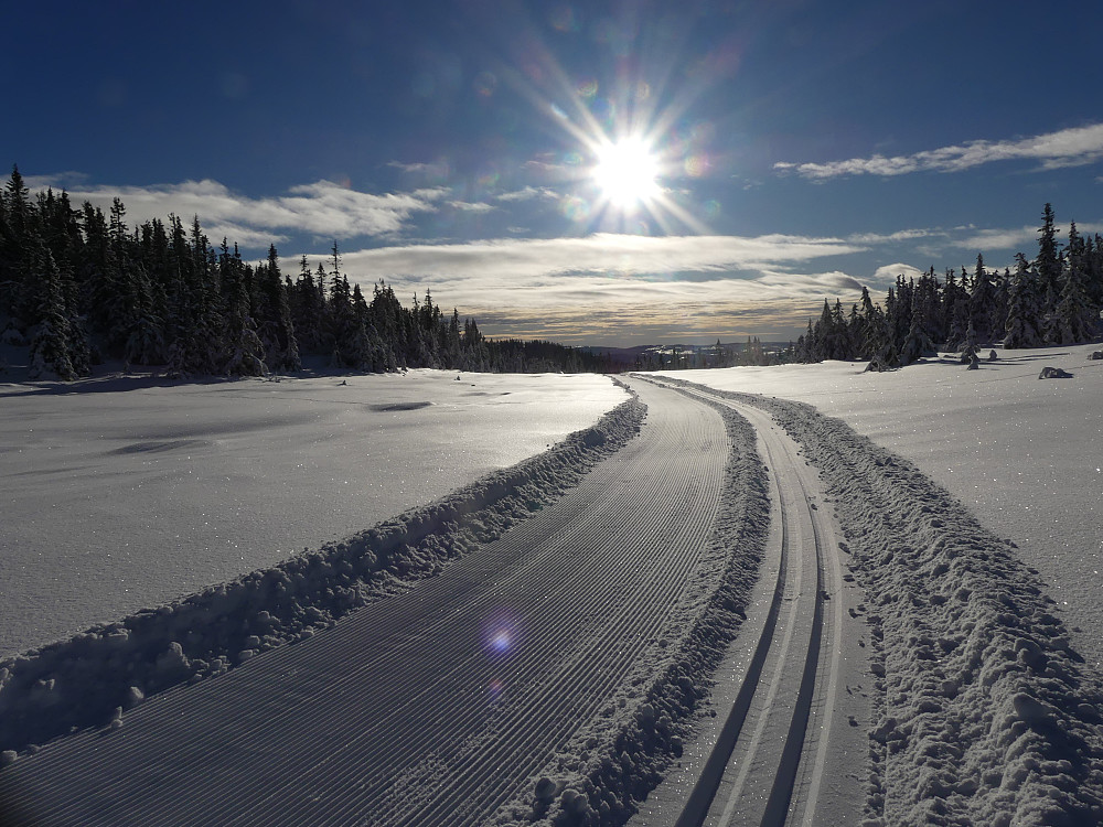 På vei ned i Skynndalen.