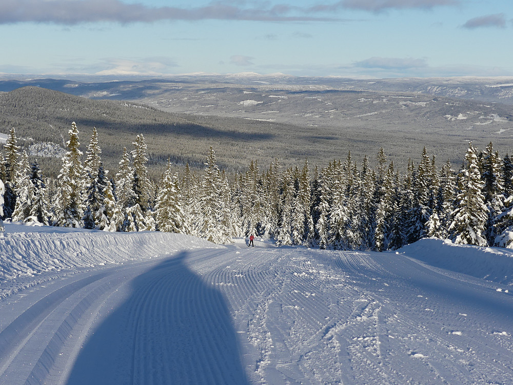 Nordover Østerdalen.