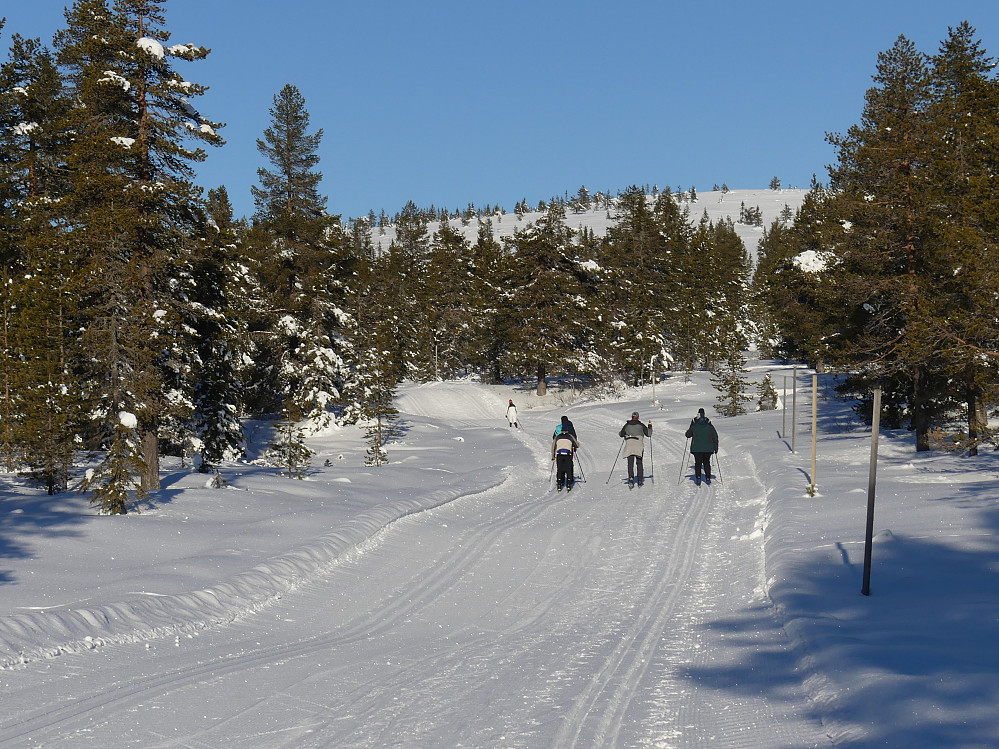 Det er mye folk i birkebeinerløypa i dag. Her med Hemmelfjellet i bakgrunnen.