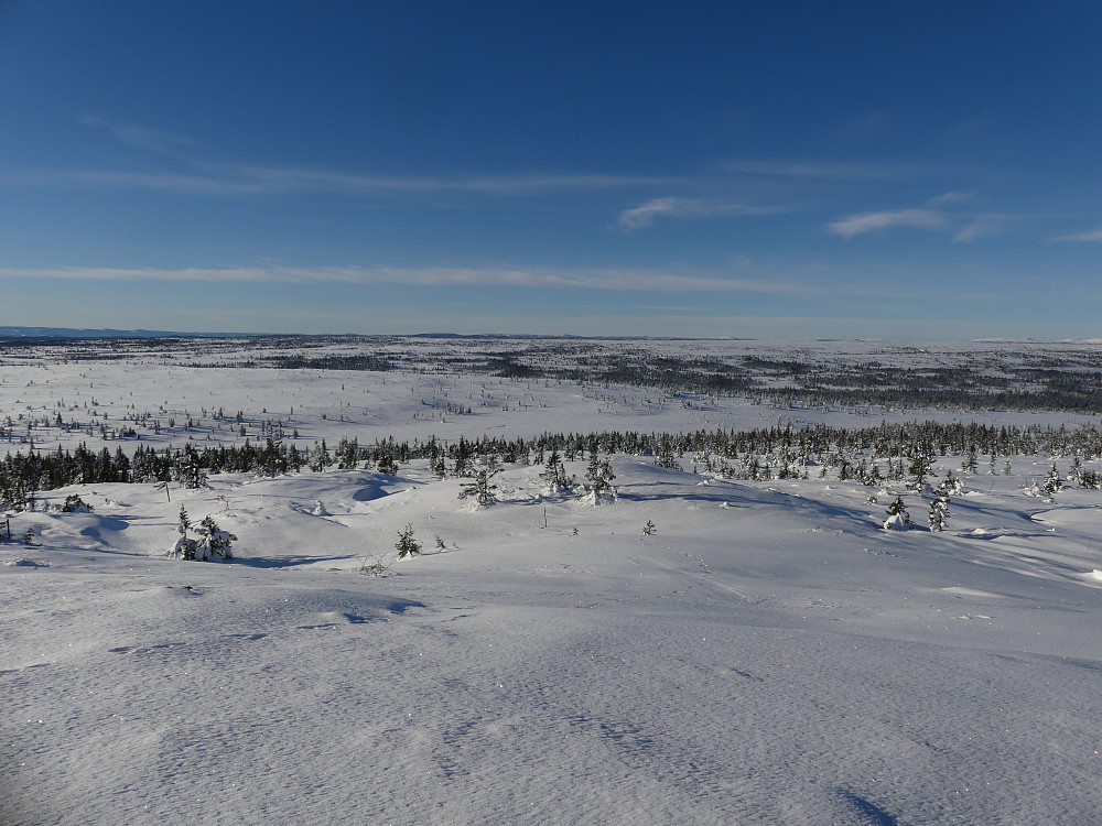 Det er drømmeforhold innover Hedmarksvidda i dag. Her fra toppen av Hemmelfjellet.
