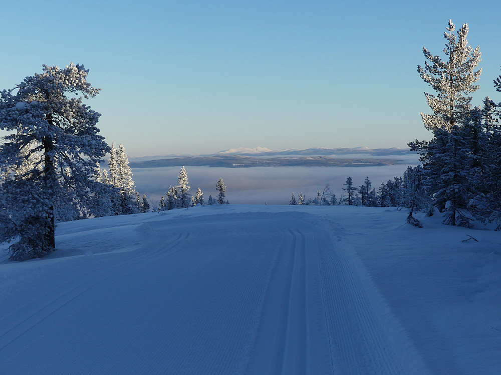 Utsikt fra Digeråsen og nordover mot Rendalssølen. 