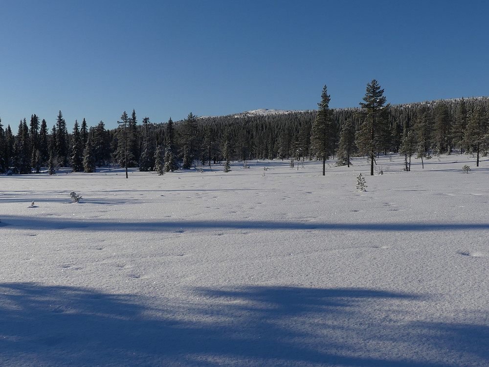 Hemmelfjellet fra Nytrøfløyet i Skynndalen. 