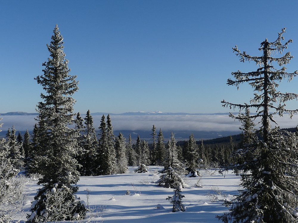 Fra Nord for Gilderåsen med Trysilfjellet langt der bak. 