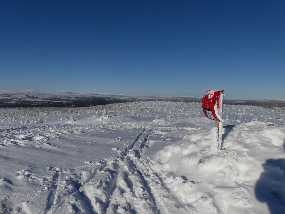 Fra hemmelfjelltoppen og nordover.