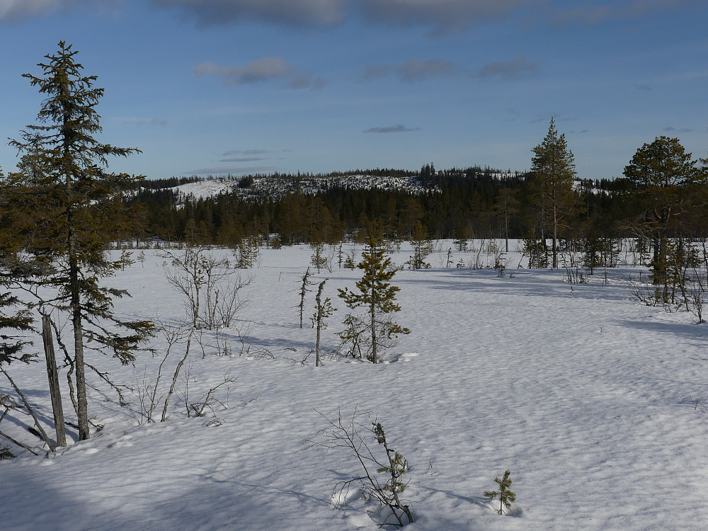 Smalberget fra Smalbergmyra.