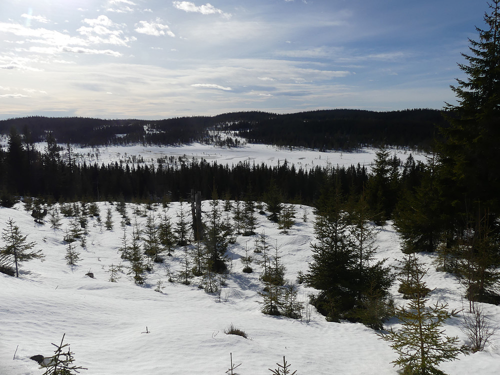 Man får god oversikt over det meste av Hemberget naturreservat fra Smalberget.