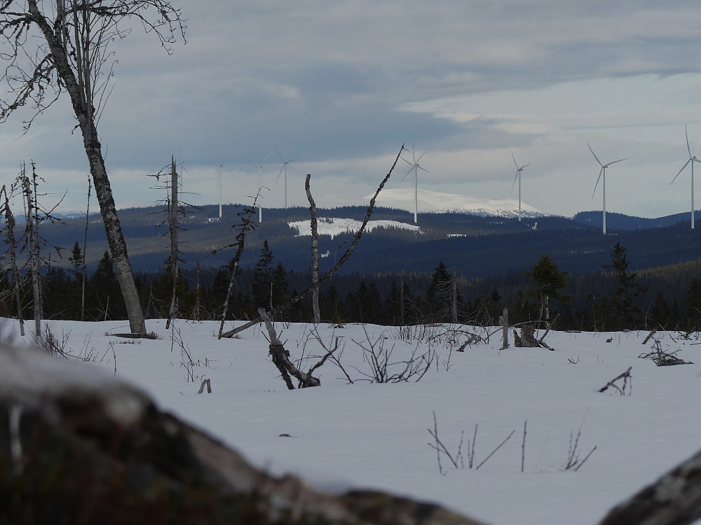 Fra toppen av Smalberget mot Kjølberget vindmøllepark og med Trysilfjellet lengst bak. 