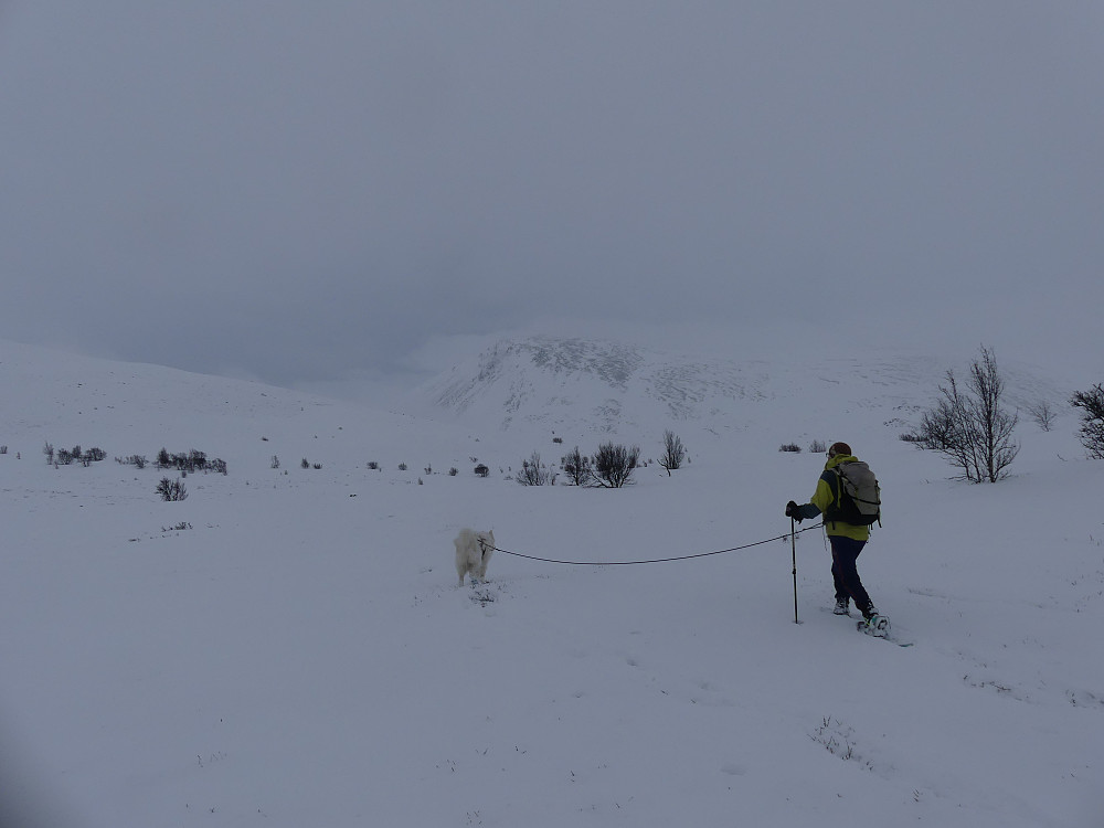 Det er lavt skydekke og snø i lufta, men ikke verre enn at vi får et glimt av Blåberget da vi nærmer oss.
