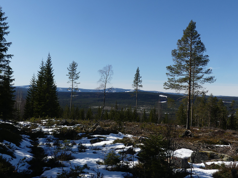 Det våres i skogen og skiføret er på hell. Utsikt fra oppunder Ingridsberget og over Julussdalen og Nabsetåsen til Åstakletten.