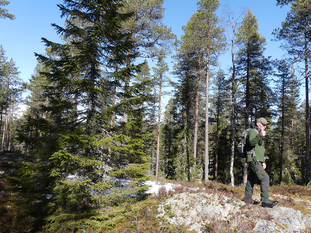 Håkon på toppen av Ingridberget.