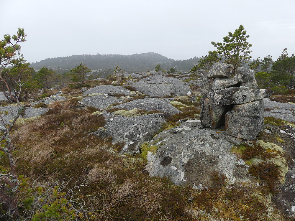 På toppen av Seterlifjellet. Forsnestua i bakgrunnen.