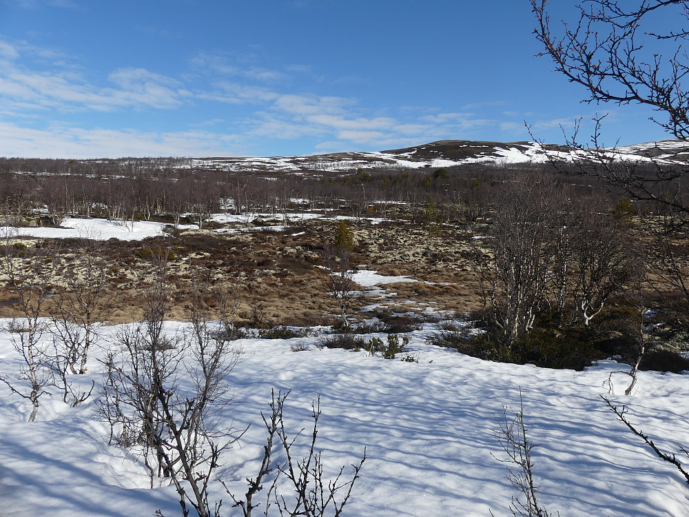 Lite snø, men nok til å beholde skiene på. Mot Buaranden.
