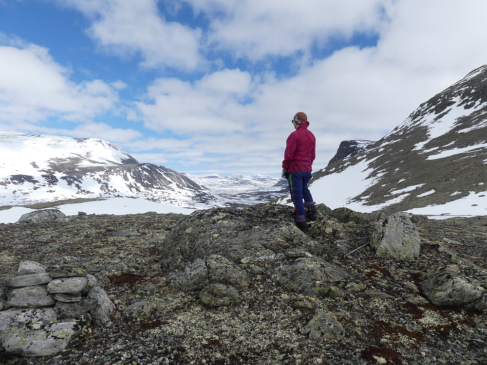 På Vesle Buahøin med utsikt nordover Grøndalen. 