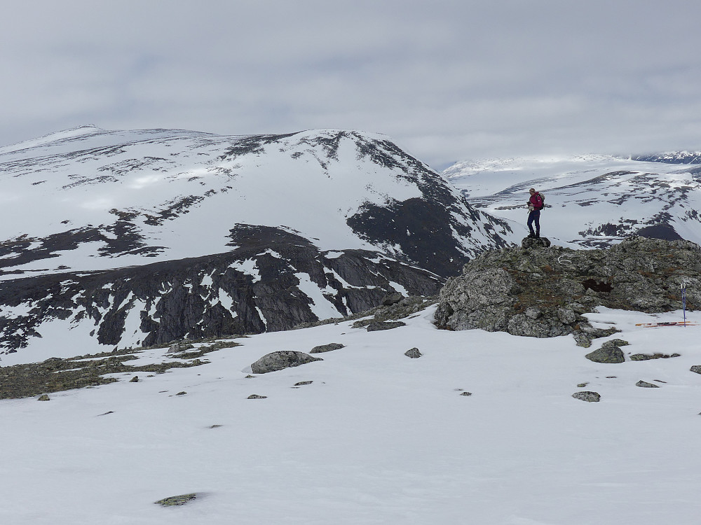 Buahøin, 1546 moh. besteget.