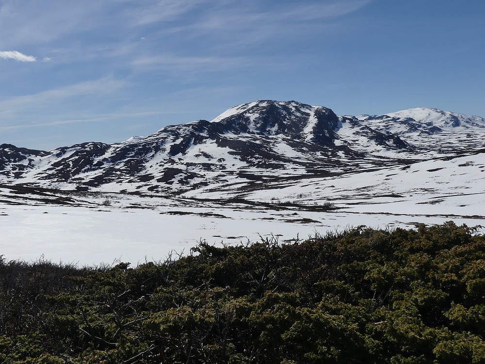 Jeg burde nok ha valgt ski i dag!