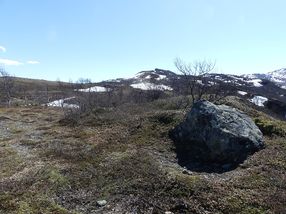Sørlifjellet er snart i boks!