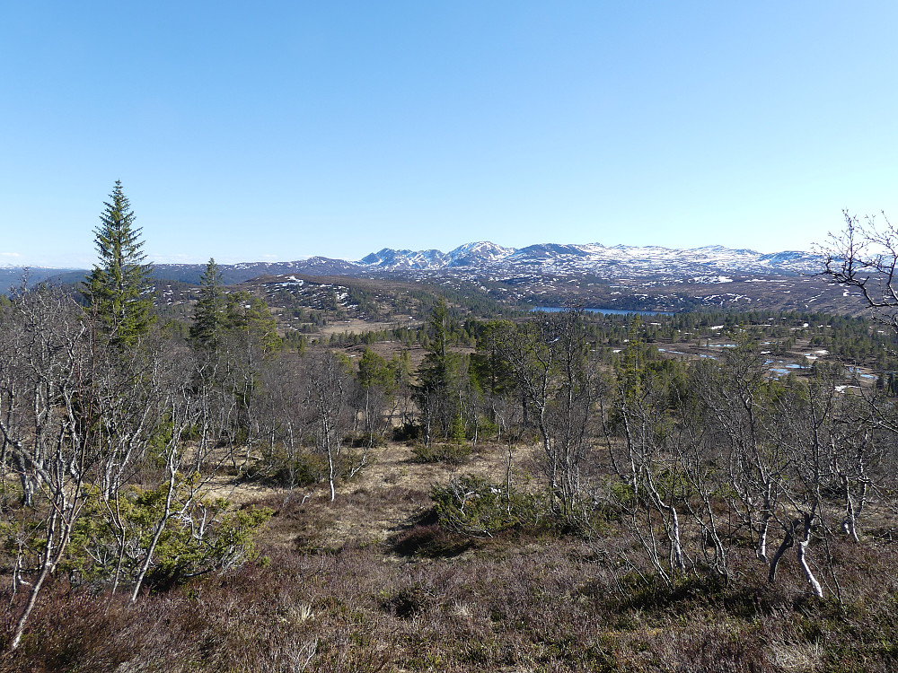 Fra toppen av Pikhaugan ser jeg bort på Sørlifjellet (hvor jeg var for litt siden), Ramshøpiken, Ramshøkallen og Brattskarven.