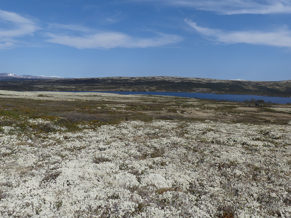 Røsjøen med Orvbergsfjellet i bakgrunnen.