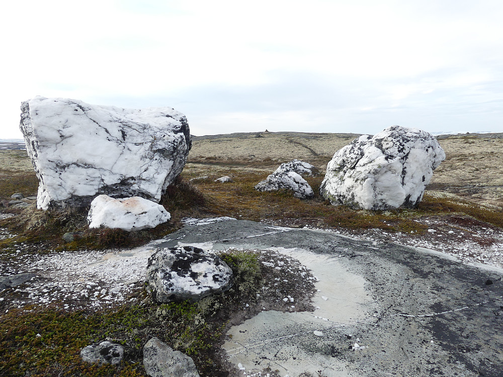 Snart oppe på Orvbergsfjellet.
