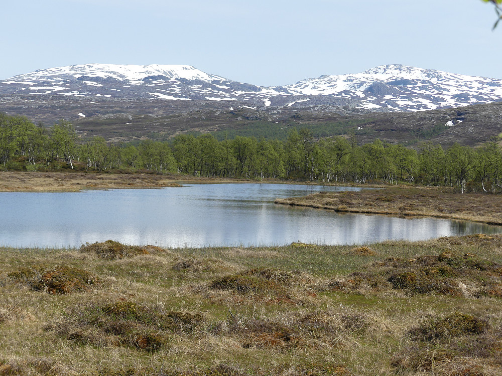 Skardsfjella ligger og lokker i nord.