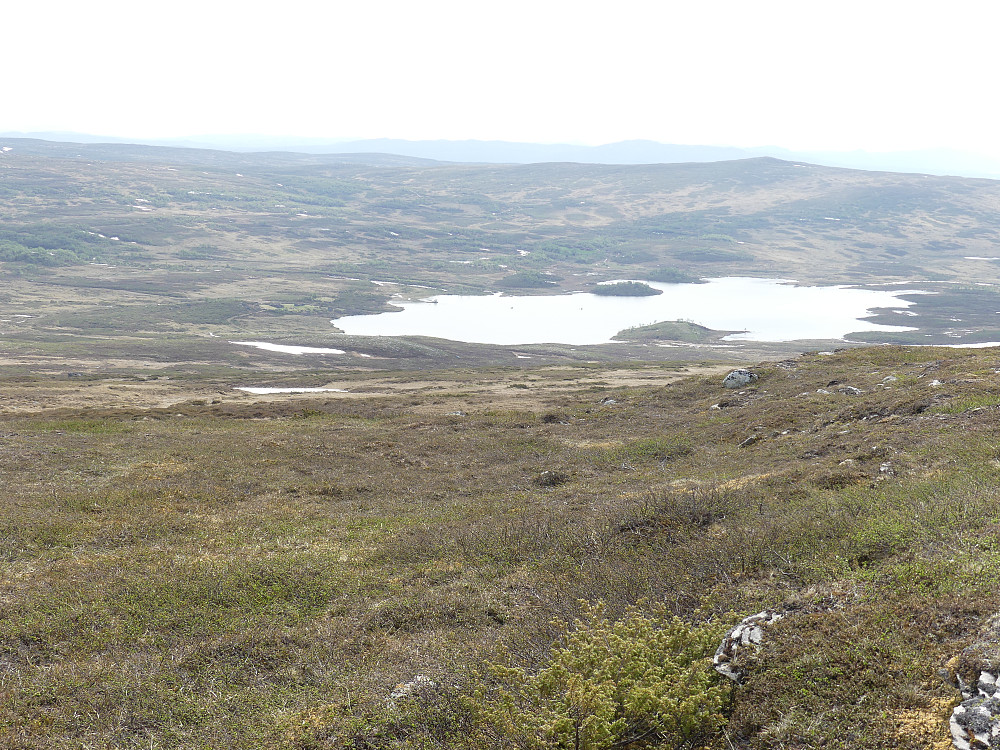 Gjeltsjøen fra Grønhøgda.