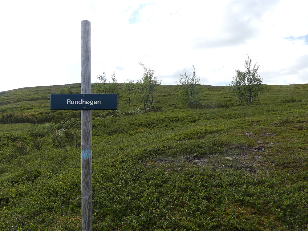 Jeg forlater stien ved Rundhøgen.