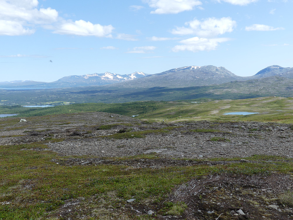 Utsikt fra toppen av Nørdre Langsvola. Fra venstre: Nesjøen, Storsylen,Skardsfjella nordre, Skarddøra og Sørskardfjellet.