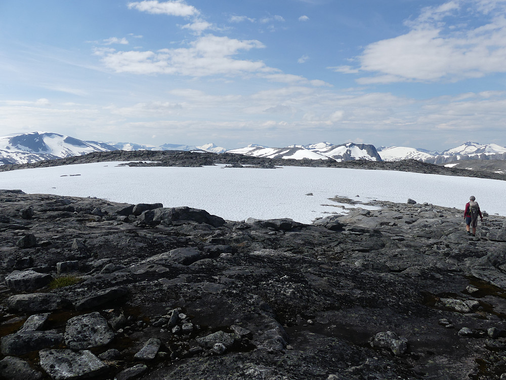 Vestover Langvasseggi på sognesida.