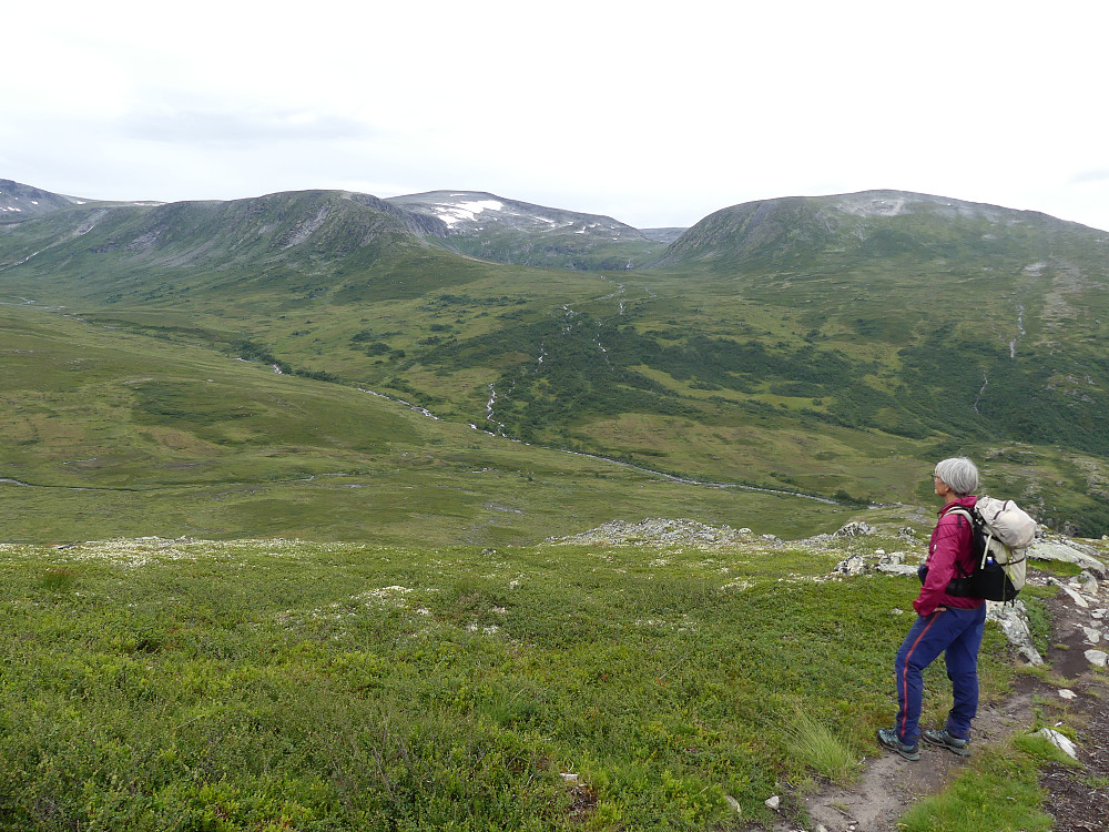 Med utsikt innover Volladalen.