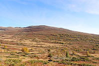 ghhanssen_20210919_6147971648a28.jpg