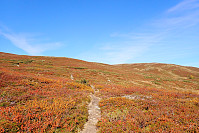 ghhanssen_20210919_61479717e3816.jpg