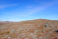 ghhanssen_20210919_61479719a6249.jpg