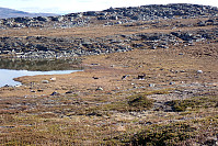 ghhanssen_20210919_614797536ca49.jpg