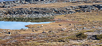 ghhanssen_20210919_614797573d424.jpg