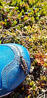 ghhanssen_20210919_6147975f3dcc1.jpg