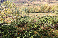ghhanssen_20210919_61479760a31aa.jpg