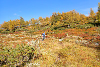 ghhanssen_20210919_6147976281204.jpg