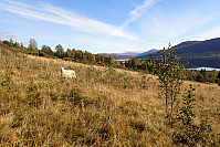 ghhanssen_20210919_61479768090ee.jpg