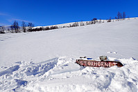 ghhanssen_20220221_6213358b4ea46.jpg